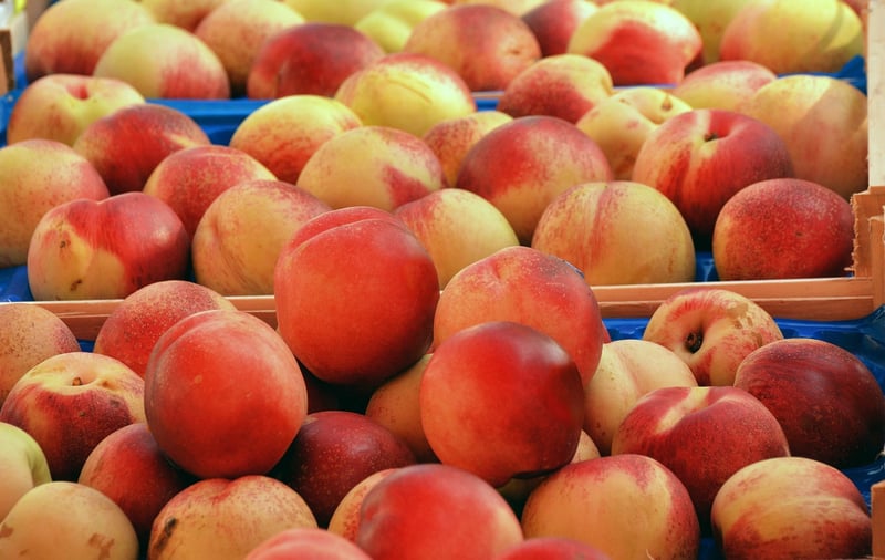 Food Markets